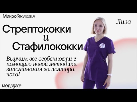 Видео: Стрептококки и стафилококки | Частная микробиология