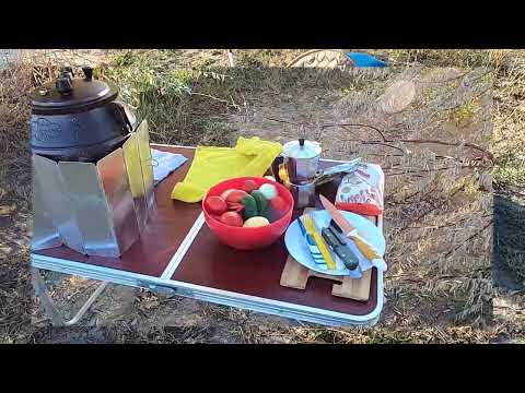 Видео: Рыбалка на реке Или/ Сазан/ Жерех/ Уха/