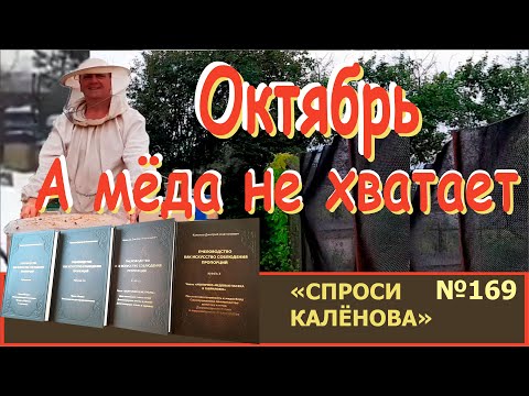 Видео: Уже Октябрь, а Мёда на Зимовку Не Хватает! Как пополнить запасы без ущерба для семьи! "СК" - №169