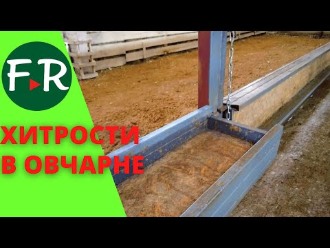 Видео: Овчарня. Устройство сакманов, хитрые кормушки. Содержание овец. Дегустация ташлинской баранины