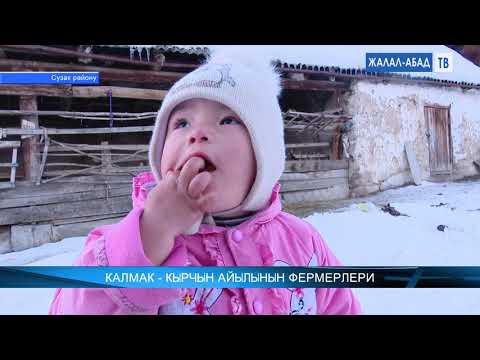Видео: Элет турмушу: Калмак-Кырчын айылынын фермерлери