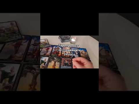 Видео: #Таро за следващите 24 часа