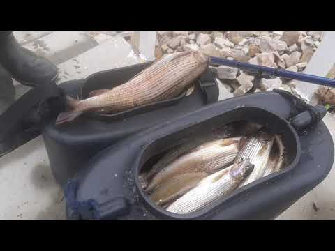 Видео: Ловля осеннего Хариуса в Якутии 2021