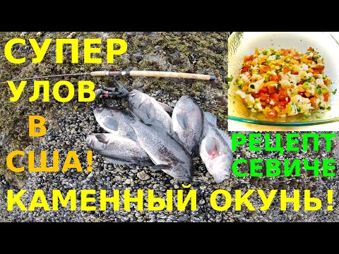 Видео: ОТЛИЧНЫЙ УЛОВ КАМЕННОГО ОКУНЯ И РЕЦЕПТ СЕВИЧЕ!!! МОРСКИЕ ЕЖИКИ! РЫБАЛКА В США!
