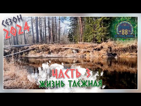 Видео: Регион 88 | Сезон 24 - Жизнь таёжная - часть 3