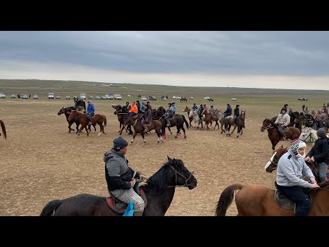 Видео: Жумахан кокпар Караспан