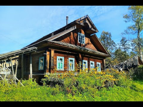 Видео: ЗАБРОШЕННАЯ ДЕРЕВНЯ В ЛЕСАХ севера Нижегородской области. Смотрим её брошенные дома, деревенский быт