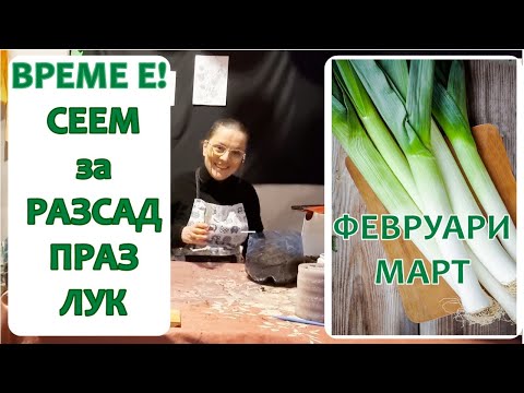 Видео: Лук ПРАЗ за разсад от семена в домашни условия. За начинаещи.