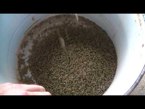 Видео: гранулирование травяной муки дома