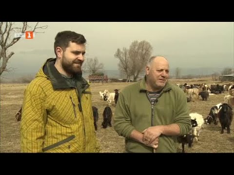 Видео: Истории за ината и любовта - "Бразди" - 22.04.2023 по БНТ