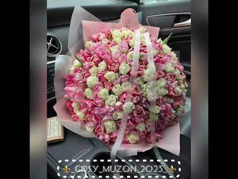 Видео: Цыганская полька (бахтало) 2000