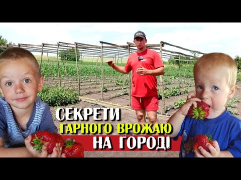 Видео: 🇺🇦Догляд за городом🇺🇦  Полив, окучування картоплі, пасинкування, підв'язування, шпалери на огірки