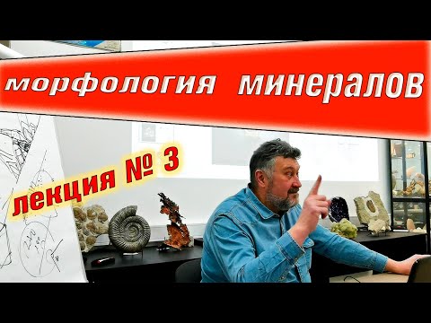 Видео: Онтогения и морфология минералов. Лекция №3. Москва Март 2021. Минералогия