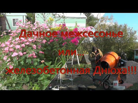 Видео: Дачное межсезонье!