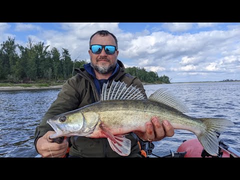 Видео: Рыбалка в Томской области.  Парабель.  Судак. Щука на джиг. Серия 1.