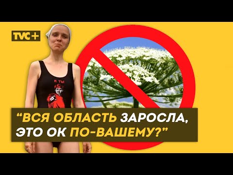 Видео: "АНТИБОРЩЕВИК": вся область заросла, это ок по вашему? / Здесь Настоящие Люди