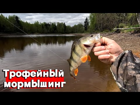 Видео: ТРОФЕЙ НА ATARASHI. ОКУНИ НА КАЖДОМ ЗАБРОСЕ. ВЕСЕННИЙ ЖОР. МОРМЫШИНГ В МАЕ. РЫБАЛКА 2024