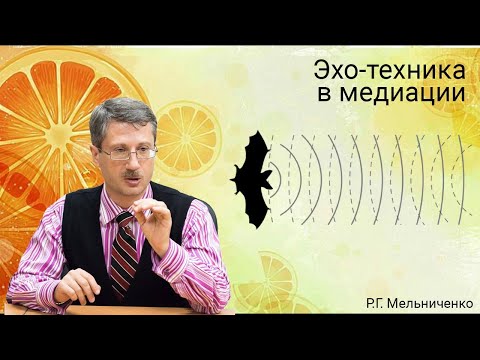 Видео: Эхо-техника в медиации