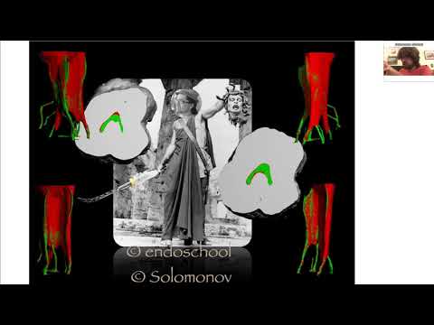 Видео: M. Solomonov, DMD отвечает на вопросы