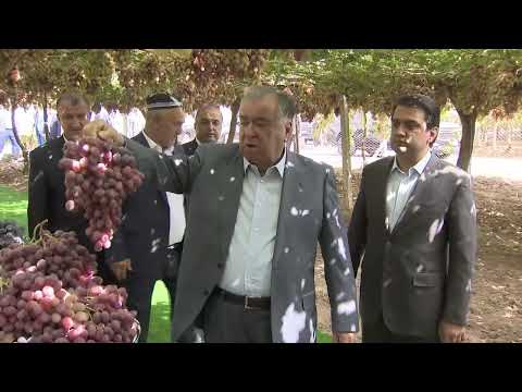 Видео: Дастранҷи деҳқони Турсунзода