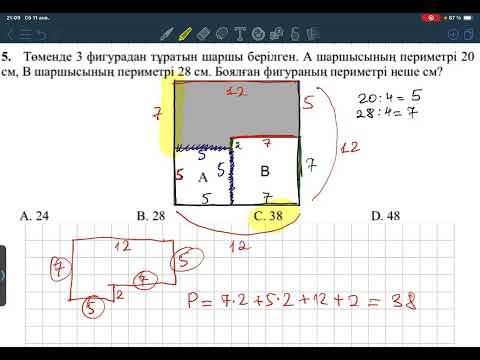 Видео: 11 января 2025 г.