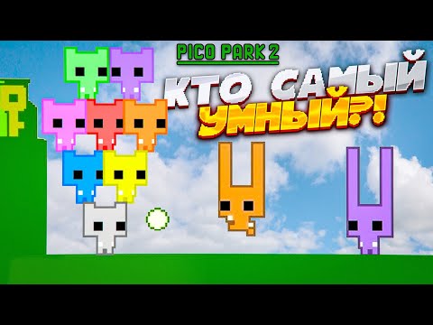 Видео: КТО ИЗ НАС САМЫЙ УМНЫЙ?! КООП ИГРА, В КОТОРОЙ НЕЛЬЗЯ ТУПИТЬ! (PICO PARK 2)