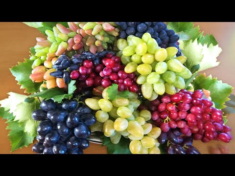 Видео: Самый вкусный виноград в мире - какой?
