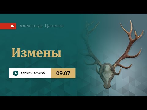 Видео: Измены и адекватность преданности