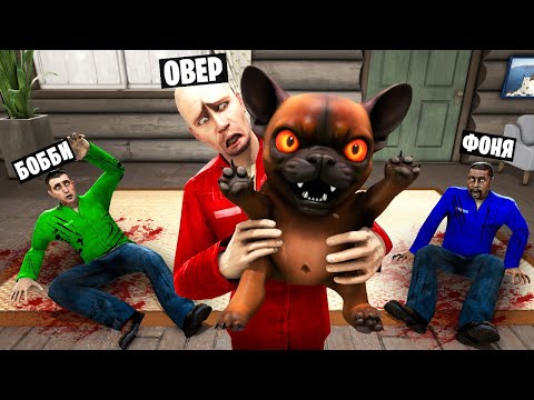 Видео: РАЗОЗЛИЛ ПИББЛА! МОЙ ПИТОМЕЦ СТАЛ СТРАШНЫМ! УГАР И БЕЗУМИЕ В Garry`s Mod