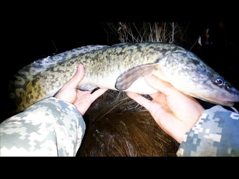 Видео: Ловля налима на ерша!   Река Ишим 2025.