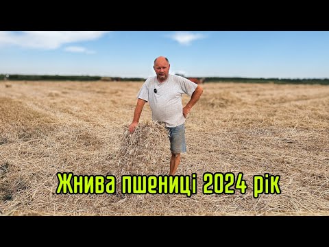 Видео: Жнива Пшениці 2024 Київська область🌾🧑‍🌾