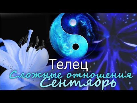 Видео: ТЕЛЕЦ ♉ "Дипломатия и страсть" Сложные отношения. Сентябрь 2024 г.