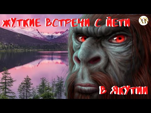 Видео: Жуткие Встречи с Йети в Якутии.Йети напал на охотника и нанёс ему тяжёлые травмы.