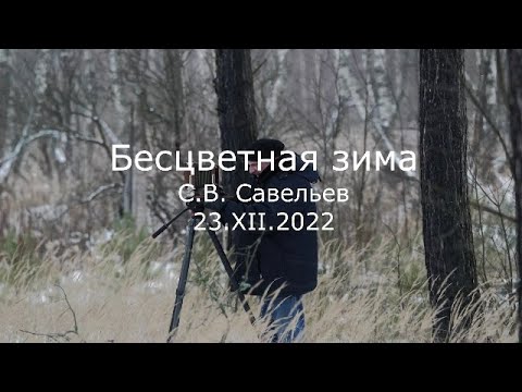 Видео: С.В. Савельев - Бесцветная зима