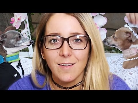 Видео: Свадьба моих собак - Дженна Марблс