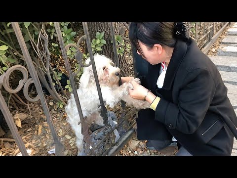 Видео: Выходи, я буду заботиться о тебе!