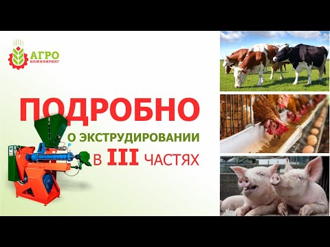 Видео: Что такое экструдированные корма? Как делаются? Как влияют на животных?