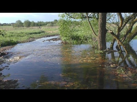 Видео: Очистка деревенского пруда: потоп