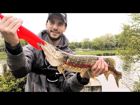 Видео: Мои любимые приманки 2025. Salmo Slider, LUCKY John Arrow Jerk 100.