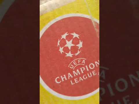 Видео: Инкубатор жасадым.#2.Термолегулятор койдым