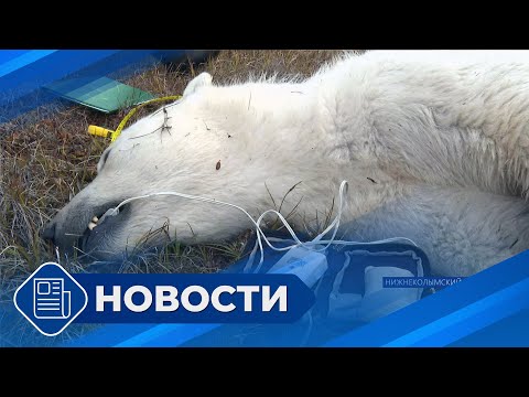 Видео: Новости 19.00 от 15.09.25
