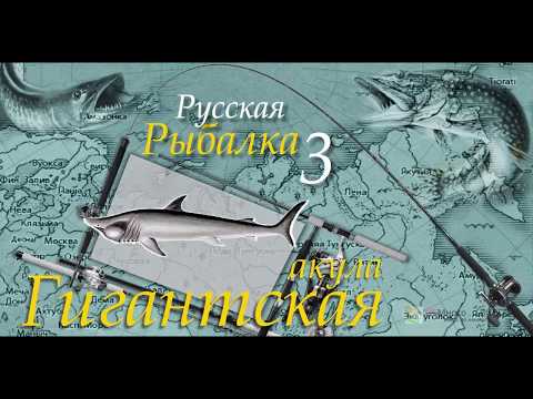 Видео: Русская рыбалка 3 99 Акула гигантская