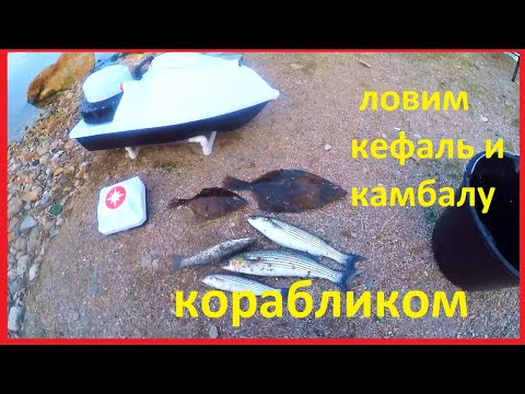 Видео: ловим с берега кефаль и камбалу в Черном море корабликом