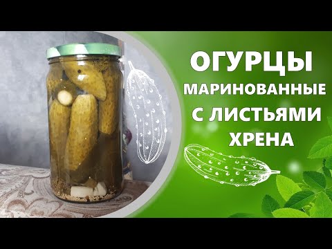 Видео: Маринованные огурцы рецепт. Pickled cucumbers recipe.