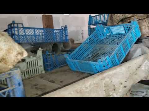 Видео: Разведение червей как дополнительный заработок. 27 октября 2024г.