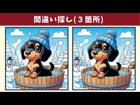 Видео: Найдите 3 отличия | Иллюстрация Версия #1649