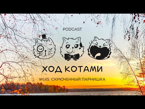 Видео: Ход Котами №145: Скрученный парнишка