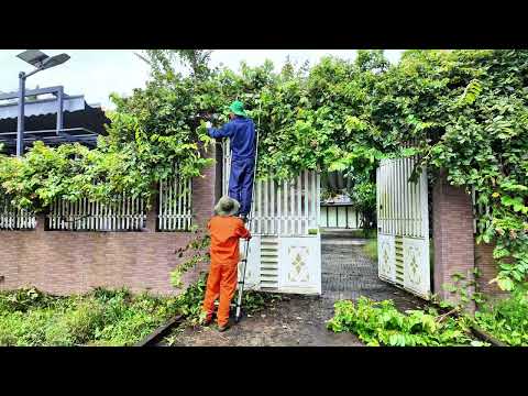 Видео: Скрытый рай: уборка дома для тайного гостя!