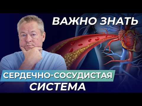 Видео: МИФЫ и ПРАВДА о работе сердечно-сосудистой системе ❗️
