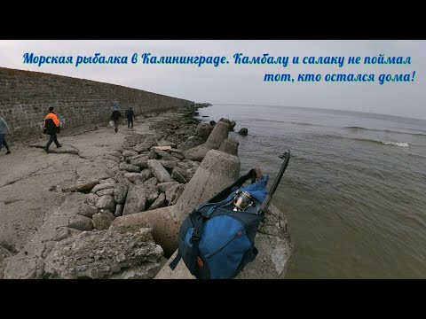 Видео: Морская  рыбалка в  Калининграде.Камбалу  и салаку не поймал  тот кто остался сидеть  дома!